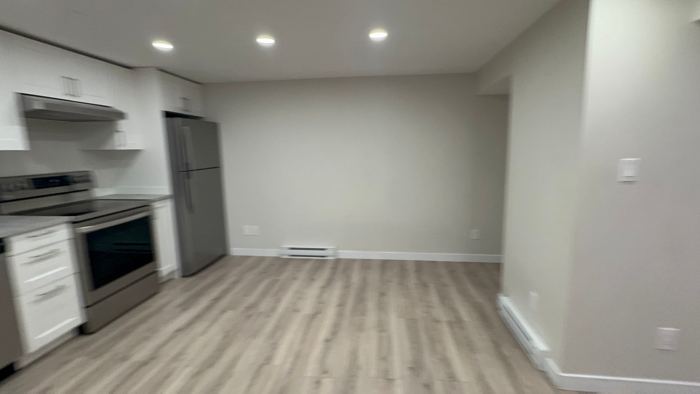 Basement kitchen (alt angle)