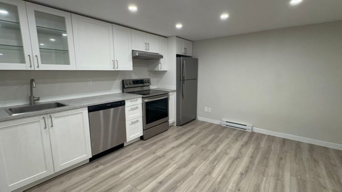 Basement kitchen